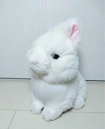 화이트 토끼 봉제 인형