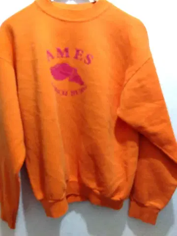 빈티지 후르츠 오브 더 룸 트레이닝복