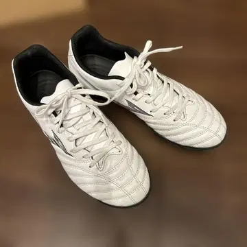 미즈노 모나르시다 neo 24.5 트레이닝화