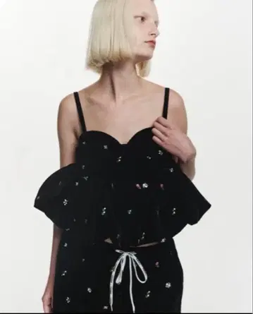 bibiy. B. STARRY BUSTIER