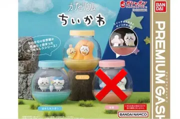 치이카와 카프세리움