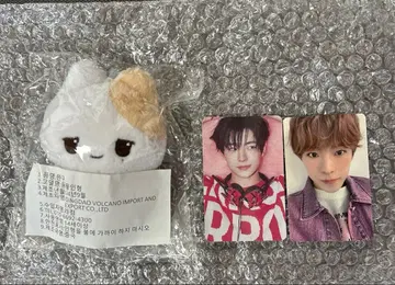 유우시 봉제 인형 10cm 트레이딩 카드 nctwish