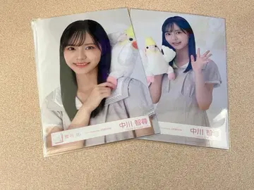 사쿠라자카46 브로마이드 나카가와 치히로