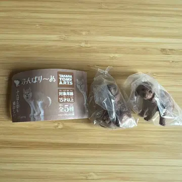 [ 새상품 ] 가챠가챠 웅크리기 웅크리기 토이 푸들 2개