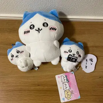 치이카와 (먼작귀) 하치와레 봉제 인형 세트