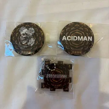 진미래제 2025 캔뱃지와 키링