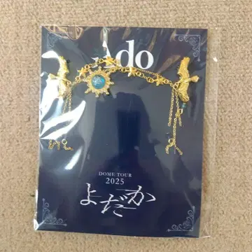DOME TOUR 2025 SS 특전 굿즈 브로치