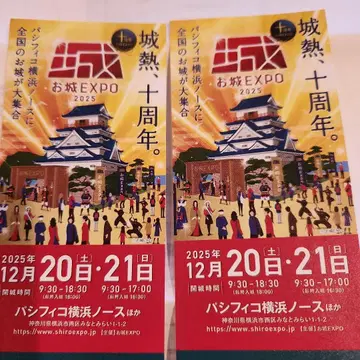 오시로 EXPO 2025 티켓 2매 12월 20일 21일