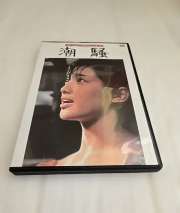 야마구치 모모에 조소 DVD 렌탈