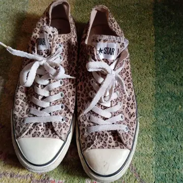 ALL STAR 레오파드 무늬 로우컷 스니커즈