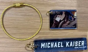 미하엘 카이저 아크릴 플레이트