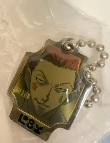 HUNTER x HUNTER 히소카 메탈 키링