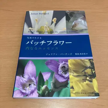 사진으로 따라가는 배치 플라워 내면의 에센스