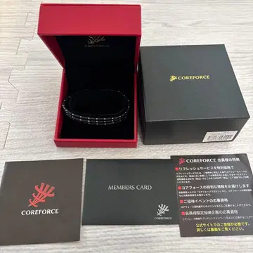 코어 포스 70 블랙