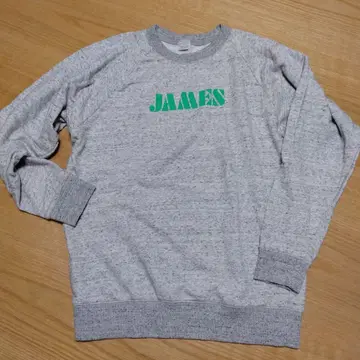 ORDINARY FITS 제임스 맨투맨 그레이