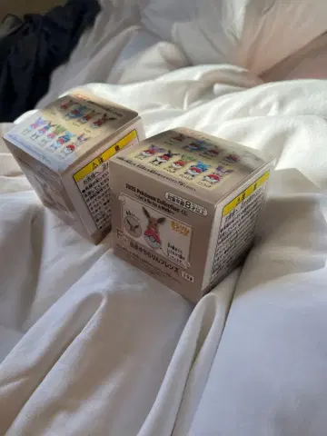 2025 포켓몬 컬렉션 피규어 2개 세트