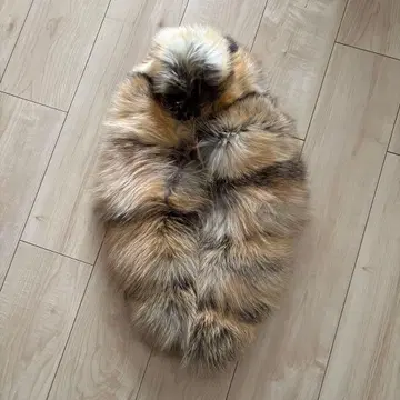 멀티 컬러 퍼 스톨 숄