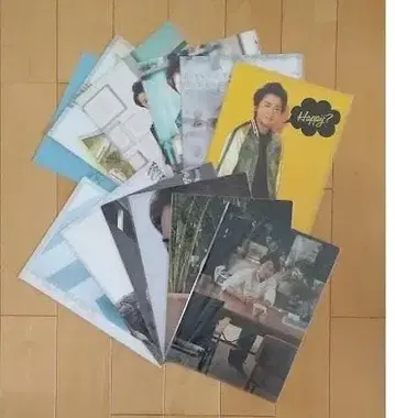 아라시 오노 사토시 클리어 파일 12장 세트