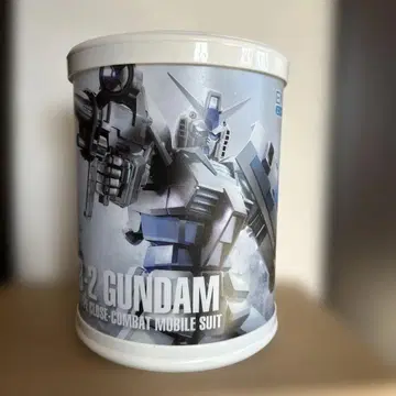 C-2 GUNDAM ENTRY GRADE 프라모델