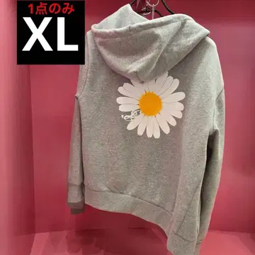 GDRAGON 지용 지드래곤 한국 popup 한정판 후디 그레이 XL