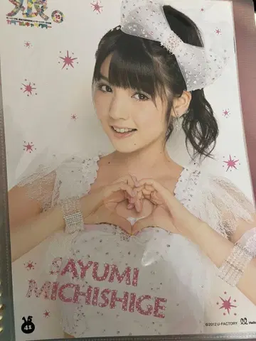 미치시게 사유미 핀포스