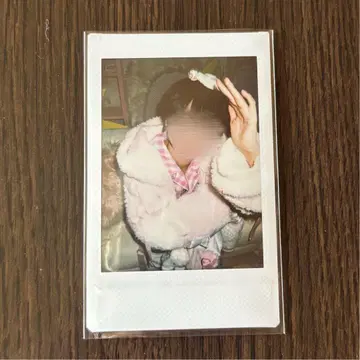 러브시크 타이요 생탄 폴라로이드