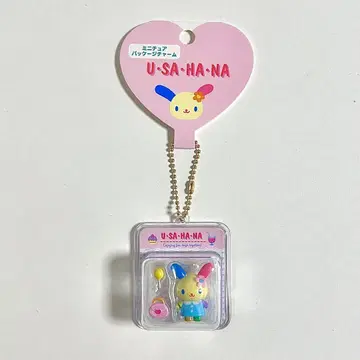 우사하나 미니어처 패키지 참