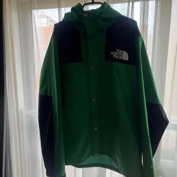 THE NORTH FACE 고어텍스 마운틴 후드티 L