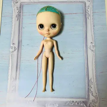 커스텀 브라이스 본체 하자 있음