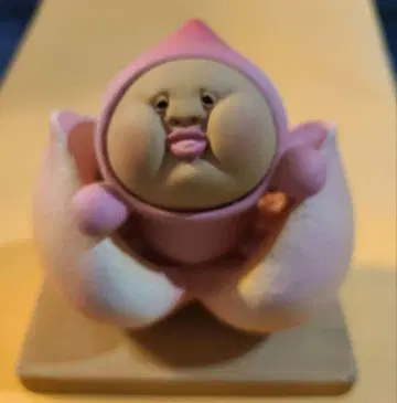 작은 요정 도감 잘 보자 피규어 카쿠레모모지리 미소