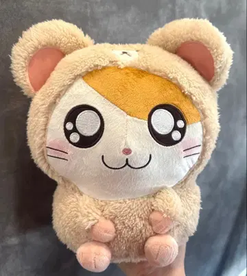 *곰돌이 BIG 봉제 인형