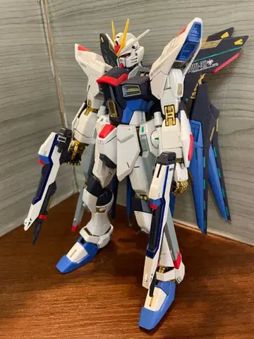 MG 스트라이크 프리덤 풀 버스트 모드 정크 완성품