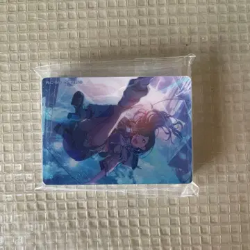 노블 아트 프로세카 시라이시 안