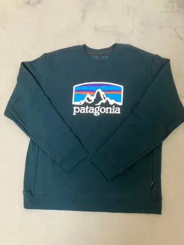 파타고니아 L 사이즈 맨투맨