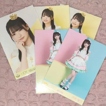 이치하라 아유미 묶음 판매