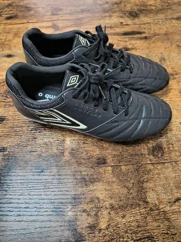 액세서리 레이터 c-rush HG 24.5cm