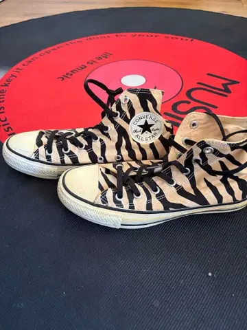 Converse 제브라, 하이컷