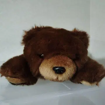 브라운 곰 봉제 인형