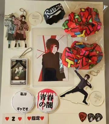 R지정 Z 폴라로이드 홀더 스크런치 배지 여러가지