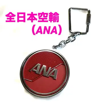 [레어] ANA 보잉 767 키링 비행기