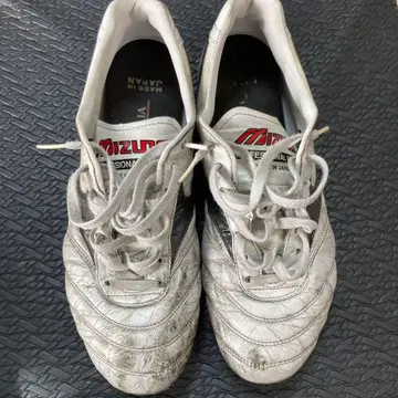 모렐리아 2 재팬