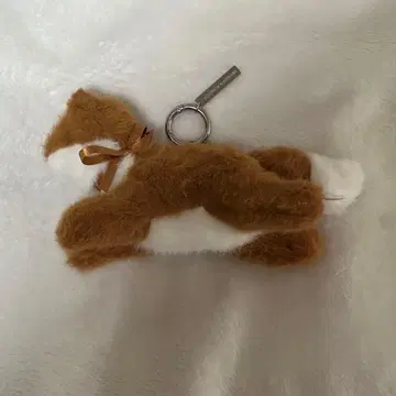 TXT Tomorrow 여우 페넥 한국 키링 팝업