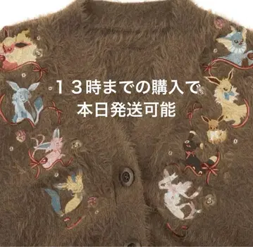 이브이 가디건 포켓몬 센터 가디건 이브이 포켓몬