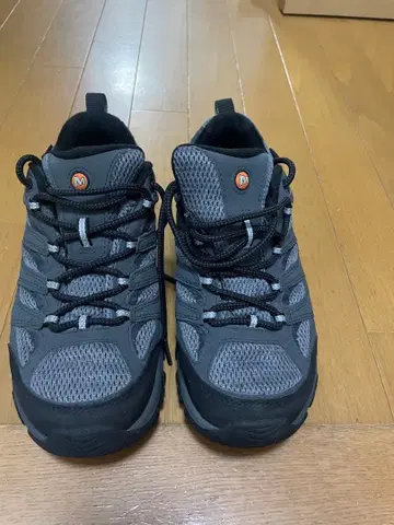 MERRELL 모아브 3 25.5cm
