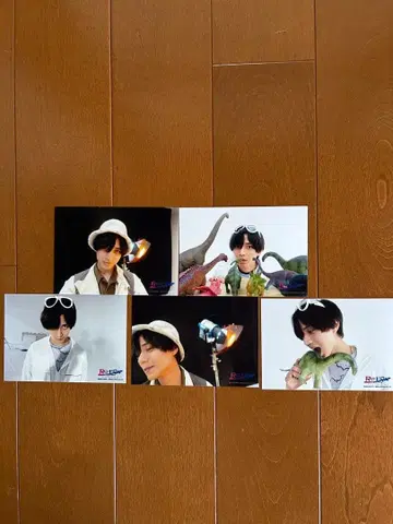 나가세 렌 공식 사진 묶음 판매 24장