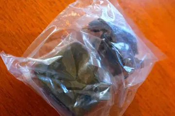 자라가스 울트라맨 괴수 시리즈