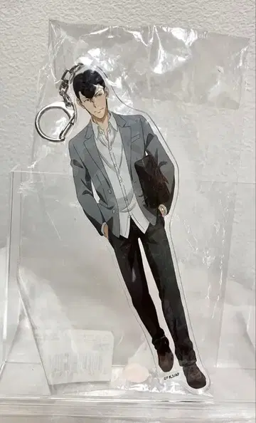 아오아시 토가시 케이지 BIG 아크릴 키링