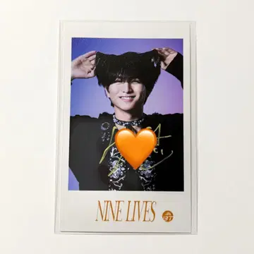 초특급 REAL? NINE LIVES 미니 사진 하루 사인