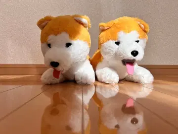 아키타견 오코메짱 봉제 인형