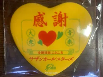 서던 올스타즈 LIVE TOUR 서던 올스타즈 혜택 캔뱃지